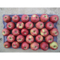 2015 New Fresh Red Star Apple